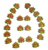 StepsToDo _ Ultimate Designer Lotus (Set of 22) | Pink-Green-Golden (4 Inch) | Artistic Handicraft _ Wall Hanging _ Floor Rangoli _ Reusable Festive Home Decor for Diwali Navratri Pooja (T334)