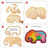 Set of 5 Wooden Jigsaw Puzzles. Paintable Animal Puzzle Set for Early Education and Home Schooling. Montessori Learning Toys (32 Wooden Pieces + 5 Wooden Frame) 5 Different Patterns (T294)