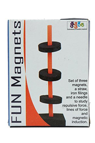 StepsToDo _ Fun With Magnet (pack of 10) | Gift for 10 Kids | Brain Teaser, Confidence Booster, build Presentation | Educational Gift | DIY Science Activity Kit (A78)