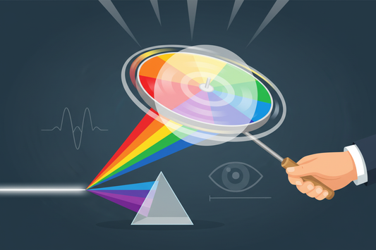 Newton Disk: Discover the Wonders by Experiment