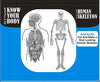 StepsToDo _ DIY Human Skeleton and Know Your Body | Ready Skeleton is about 49 cm in size | DIY Science Activity Kit (T162)