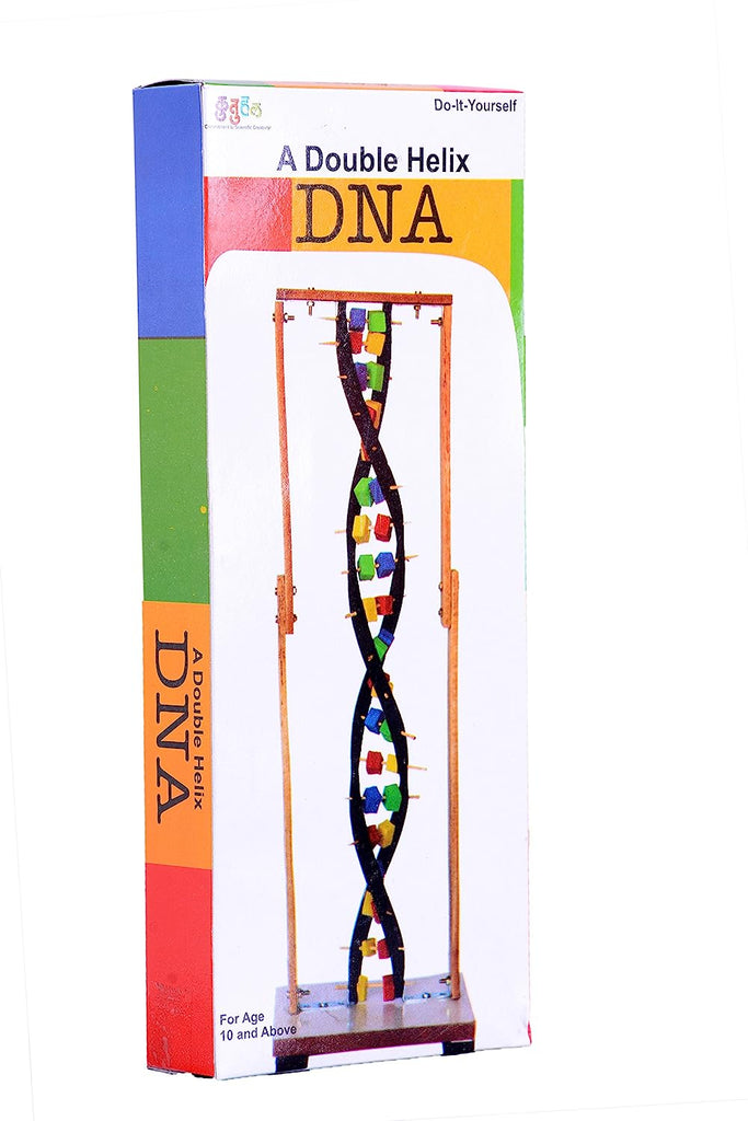 StepsToDo _ Double Helix DNA Model Making Kit | Hands-on Biology Concepts Learning Kit | DIY Science Activity (A144)