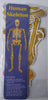 StepsToDo _ DIY Human Skeleton and Know Your Body | Ready Skeleton is about 49 cm in size | DIY Science Activity Kit (T162)