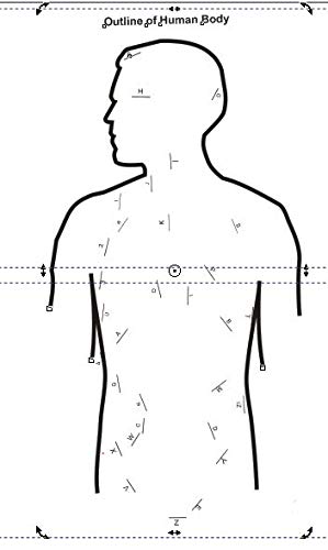 DIY Human Skeleton & Body Activity Kit – Ages 10+, Multicolour