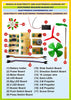 StepsToDo _ Basics in Electricity and Electronics Foundational Learning Kit | Electronic Building Blocks Kit | Experimental Kit | Demonstration Teaching Aid (T254)