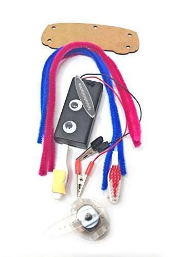 DIY Vibrating Robot Kit – Doodling Robot & Bristlebot