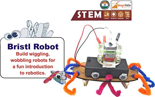 DIY Vibrating Robot Kit – Doodling Robot & Bristlebot