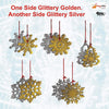 StepsToDo _ Snowflake Party Decoration Ornaments Gift Set Type B (set of 45) | for Tree, Wall, Window Hanging | One Side Golden & another Side Silver (T256)
