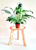 StepsToDo Wooden Stool Table 12 Inch Height | Multipurpose 3-Leg End Table, Plant Stand, Kids Stool | Antique Dodecagon Foldable Wooden Side Table for Living Room, Office, Bedroom (12 Inch Height)