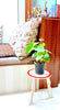 StepsToDo Wooden Stool Table 12 Inch Height | Multipurpose 3-Leg End Table, Plant Stand, Kids Stool | Antique Dodecagon Foldable Wooden Side Table for Living Room, Office, Bedroom (12 Inch Height)