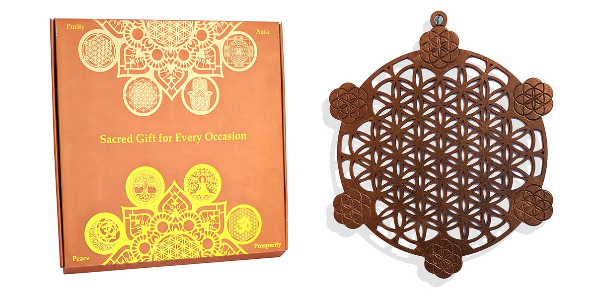 T367_BROWN_11