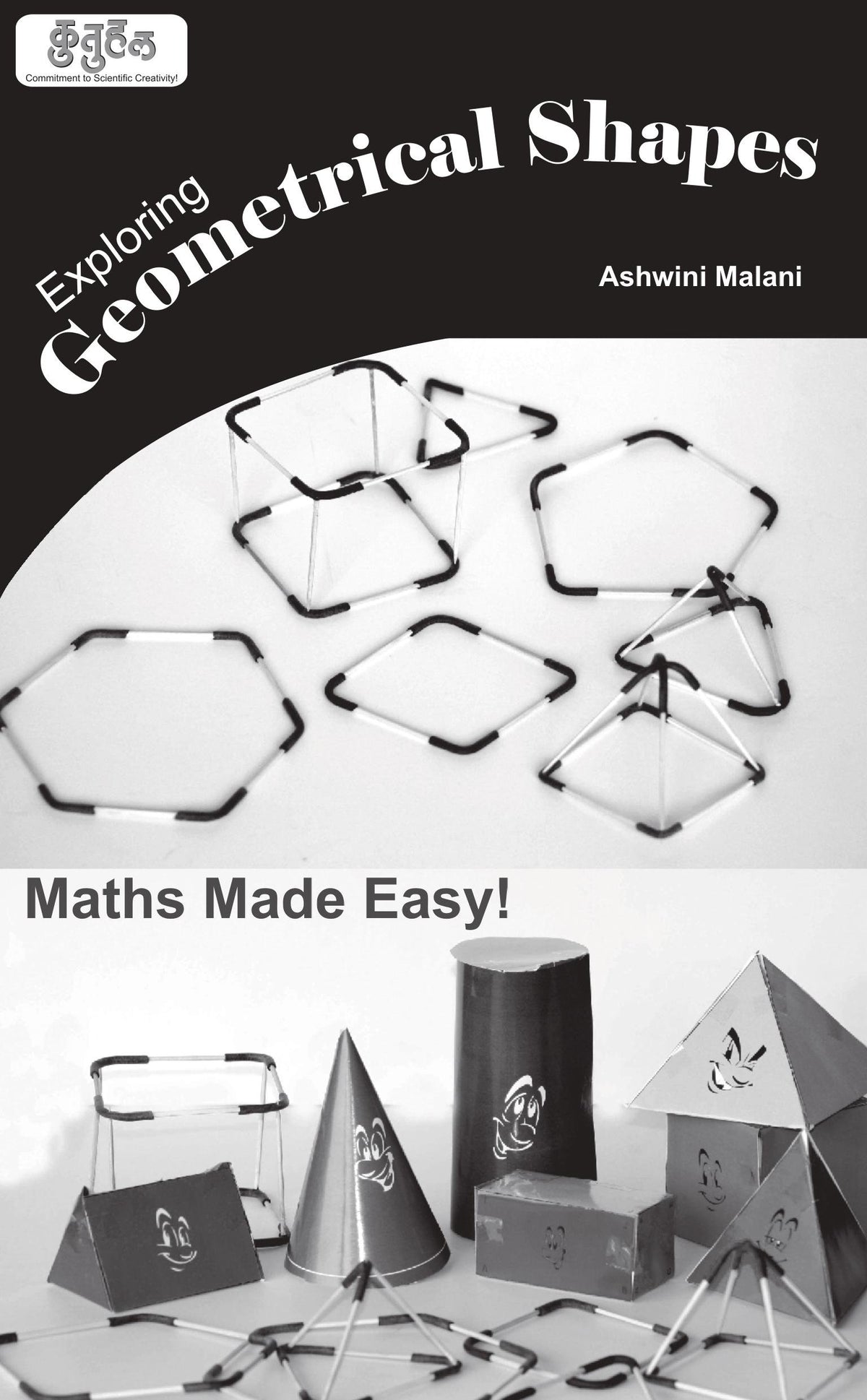 2D & 3D Geometrical Shapes Activity Kit