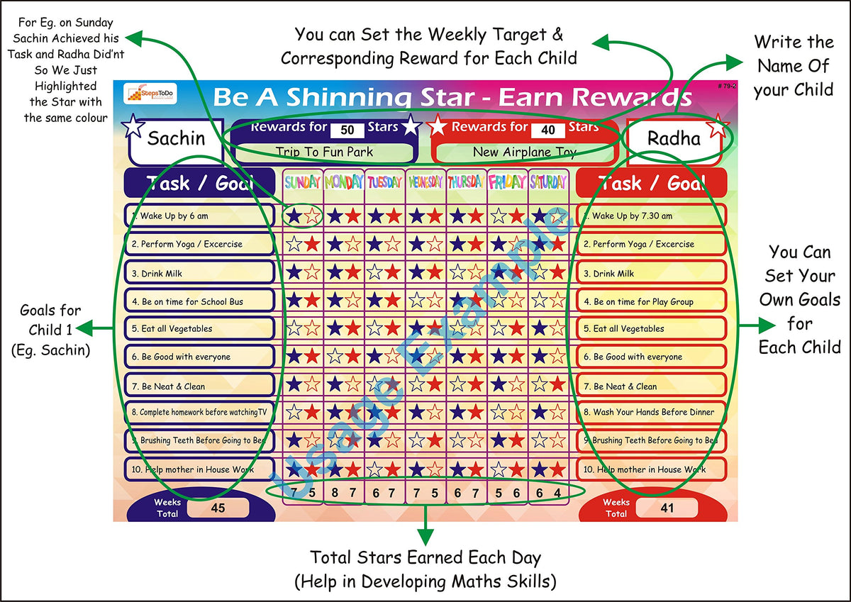 Write-Wipe Reward Chart & Monthly Planner with Marker