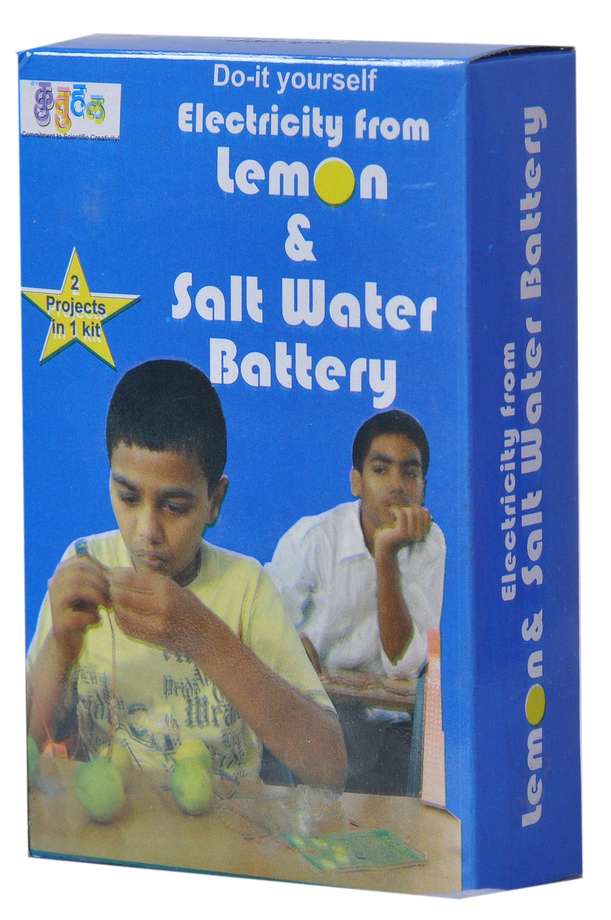DIY Lemon & Salt Water Battery Kit – Multicolour