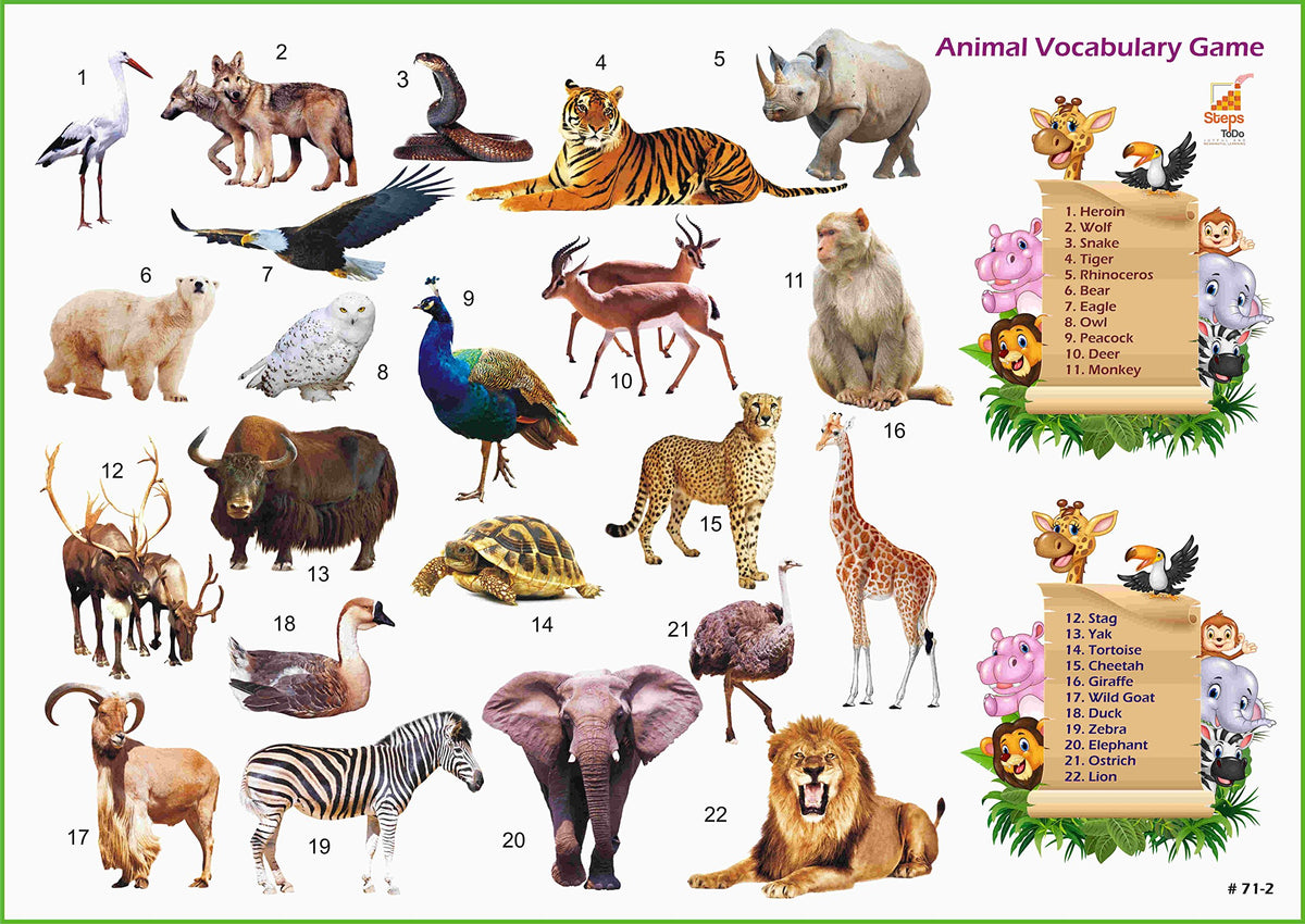 Laminated Learning Charts – Alphabets, Numbers, Shapes & Everyday Topics