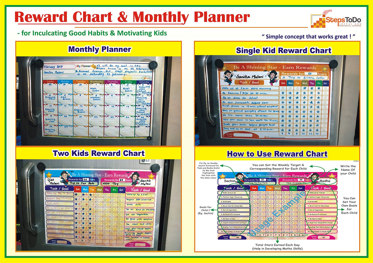 Write-Wipe Reward Chart & Monthly Planner with Marker