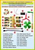StepsToDo Basics in Electricity and Electronics Learning Kit | Electronic Building Blocks Kit | Electronics Experimental Kit | Electricity and Electronic Foundational Demonstration Teaching Aid