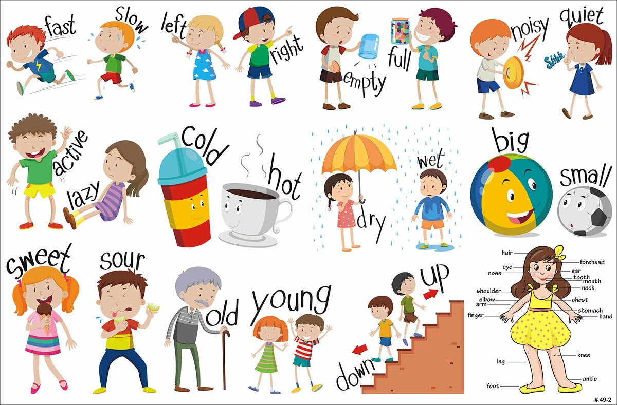 Laminated Learning Charts – Alphabets, Numbers, Shapes & Everyday Topics
