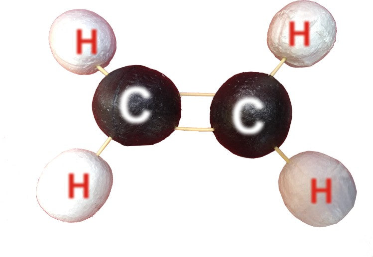 Class 10 Chemistry Kit – Carbon & Its Compounds