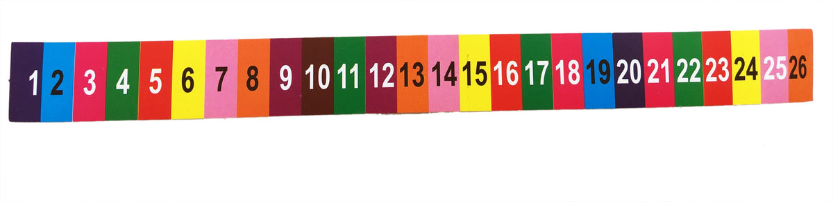 Class 1 Measurement, Money, Time & Geometry Activities