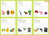 Essentials for Early Learning (Set B): Joyful way to Trace & Learn Alphabets, Words and Numbers