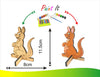Zoo Making Kit . Make and Paint Your Own Zoo Animals. Set of 10 Zoo Animals with Standee, 1 Ring Master, 1 Zoo Banner, 12 Bright Painting Colour, 12 Sketch Pen, and Unlimited Fun (T323)