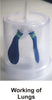 Class 10 Biology - Hands On Learning Kit