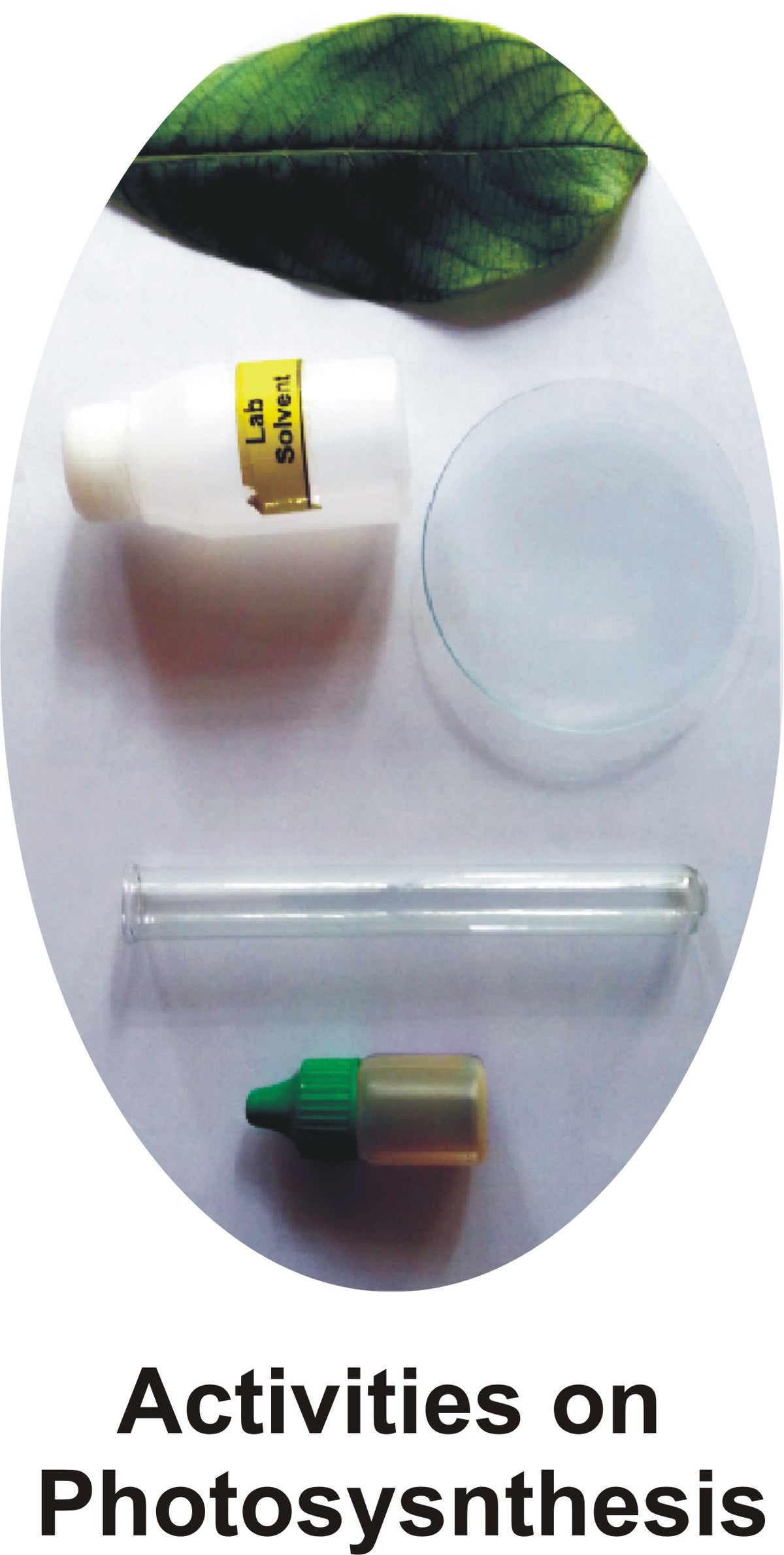 Class 10 Biology Kit