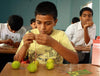 8 Days - Summer Camp - Science Activity Program (Standard 1 to 9)